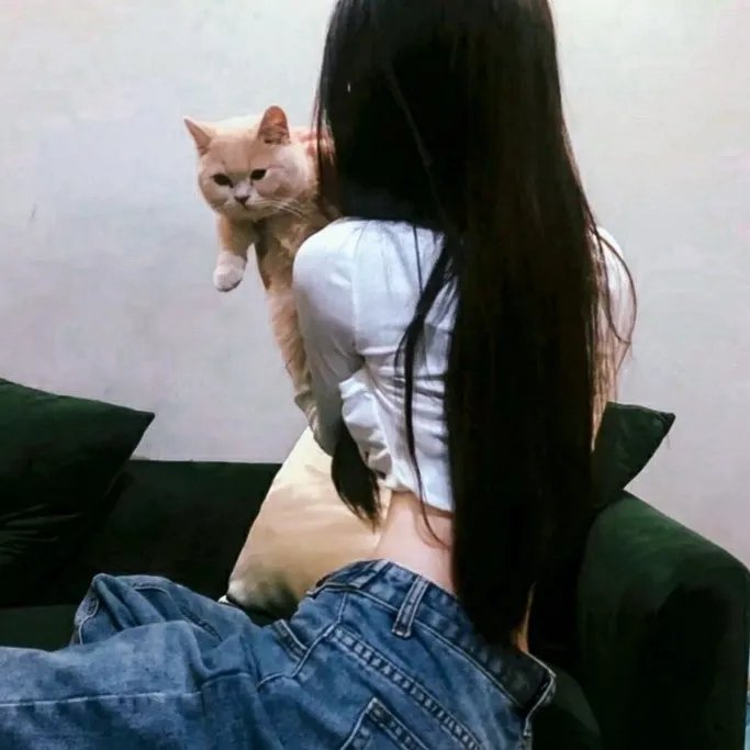 贝壳与牧师